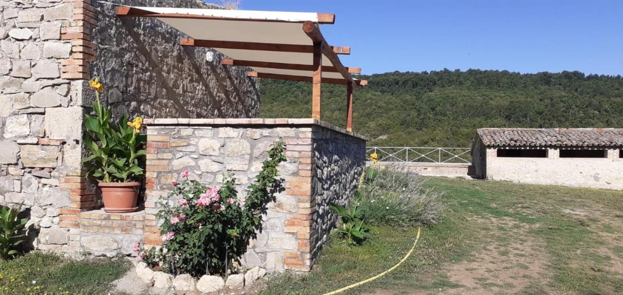 Casale Al Lago Con Piscina E Sauna Corbara  Екстер'єр фото