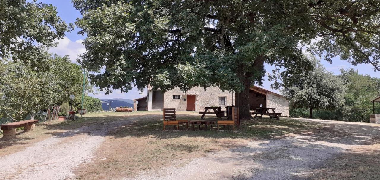 Casale Al Lago Con Piscina E Sauna Corbara  Екстер'єр фото
