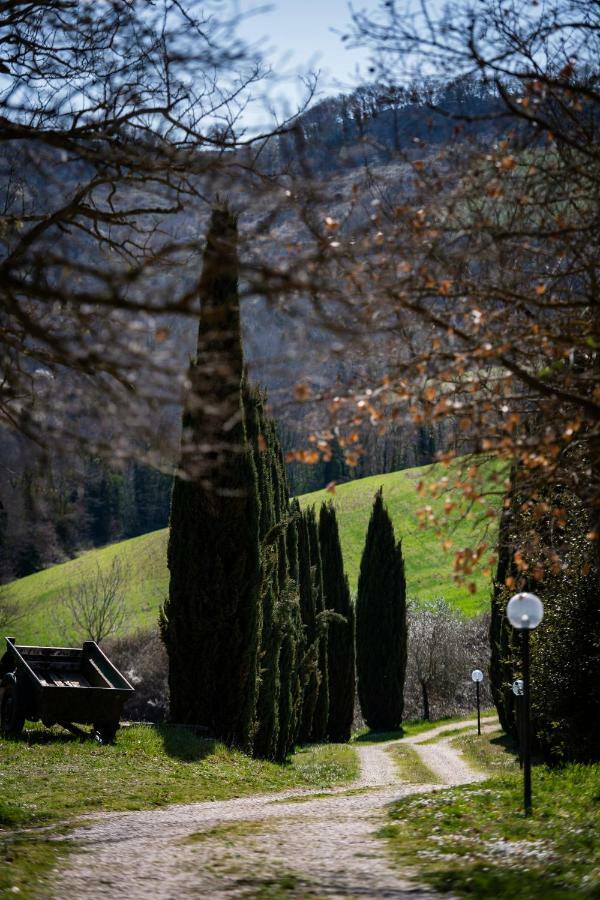 Casale Al Lago Con Piscina E Sauna Corbara  Екстер'єр фото
