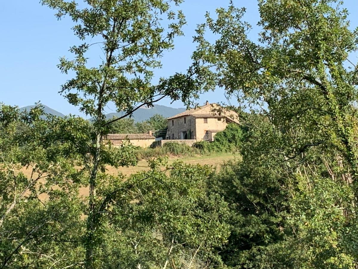 Casale Al Lago Con Piscina E Sauna Corbara  Екстер'єр фото