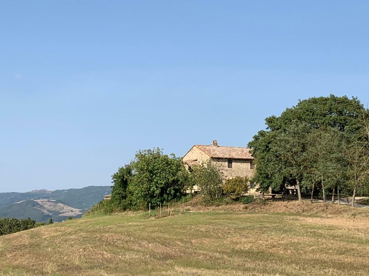 Casale Al Lago Con Piscina E Sauna Corbara  Екстер'єр фото