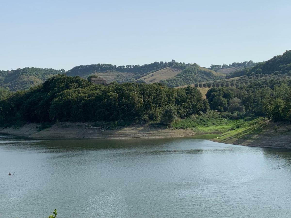 Casale Al Lago Con Piscina E Sauna Corbara  Екстер'єр фото