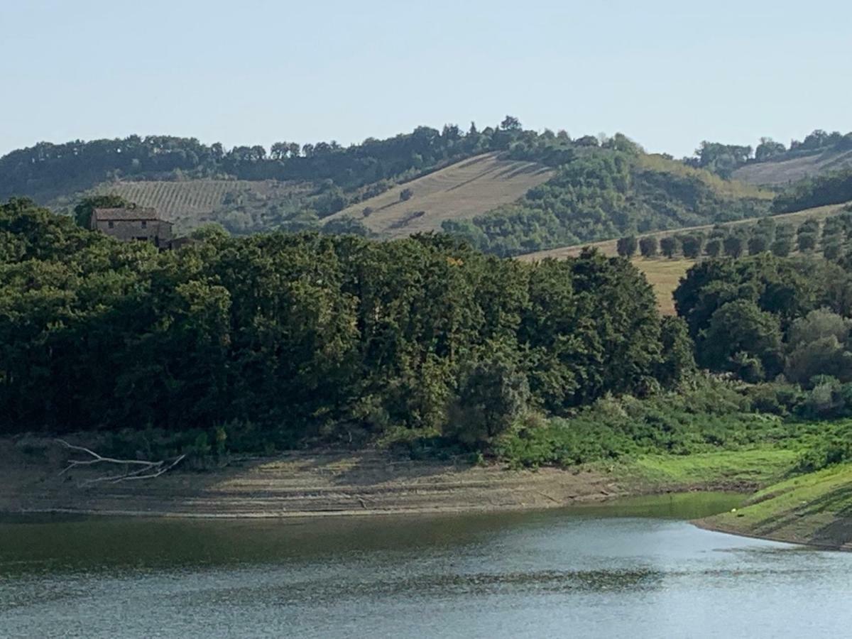 Casale Al Lago Con Piscina E Sauna Corbara  Екстер'єр фото